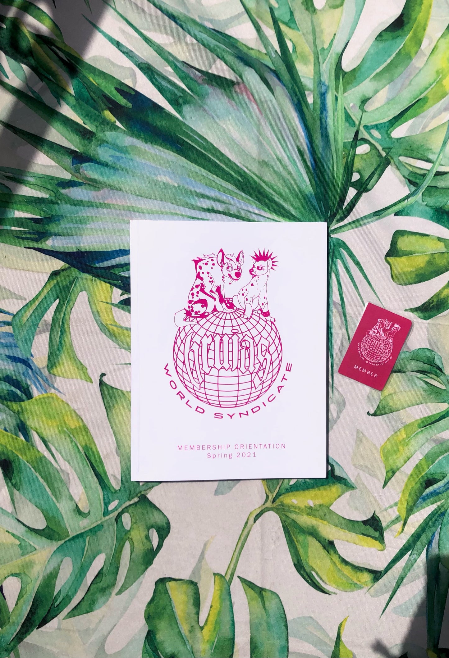 BRUJAS WORLD SYNDICATE MEMBERSHIP + MAGAZINE